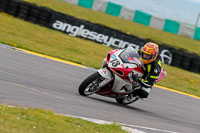 PJ-Motorsport-2019;anglesey-no-limits-trackday;anglesey-photographs;anglesey-trackday-photographs;enduro-digital-images;event-digital-images;eventdigitalimages;no-limits-trackdays;peter-wileman-photography;racing-digital-images;trac-mon;trackday-digital-images;trackday-photos;ty-croes